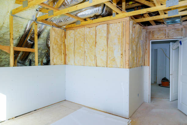 Best Cellulose Insulation in Bonanza, GA
