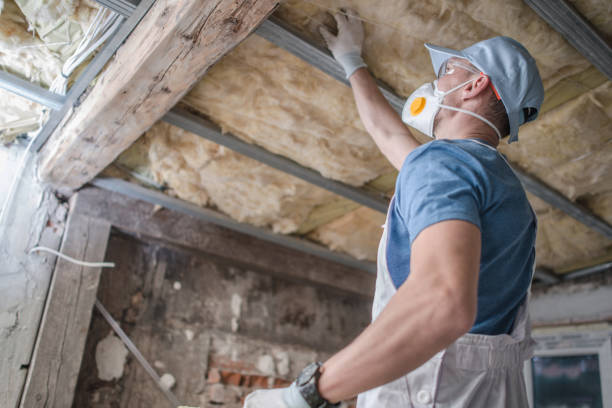 Types of Insulation We Offer in Bonanza, GA