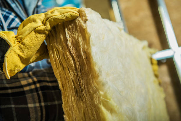 Best Commercial Insulation in Bonanza, GA