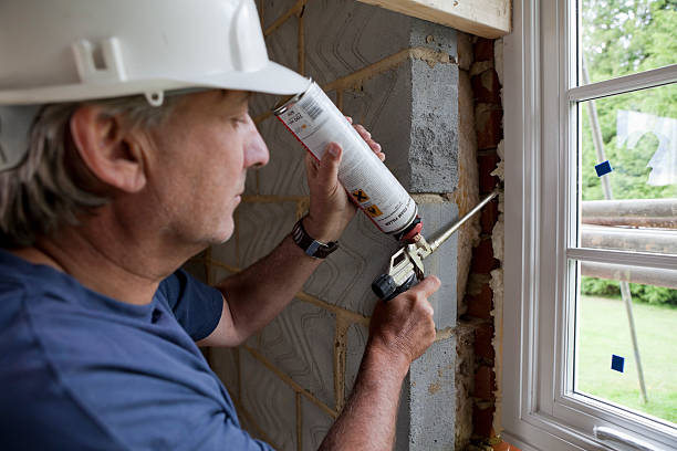 Best Geographic-Specific Insulation Services in Bonanza, GA
